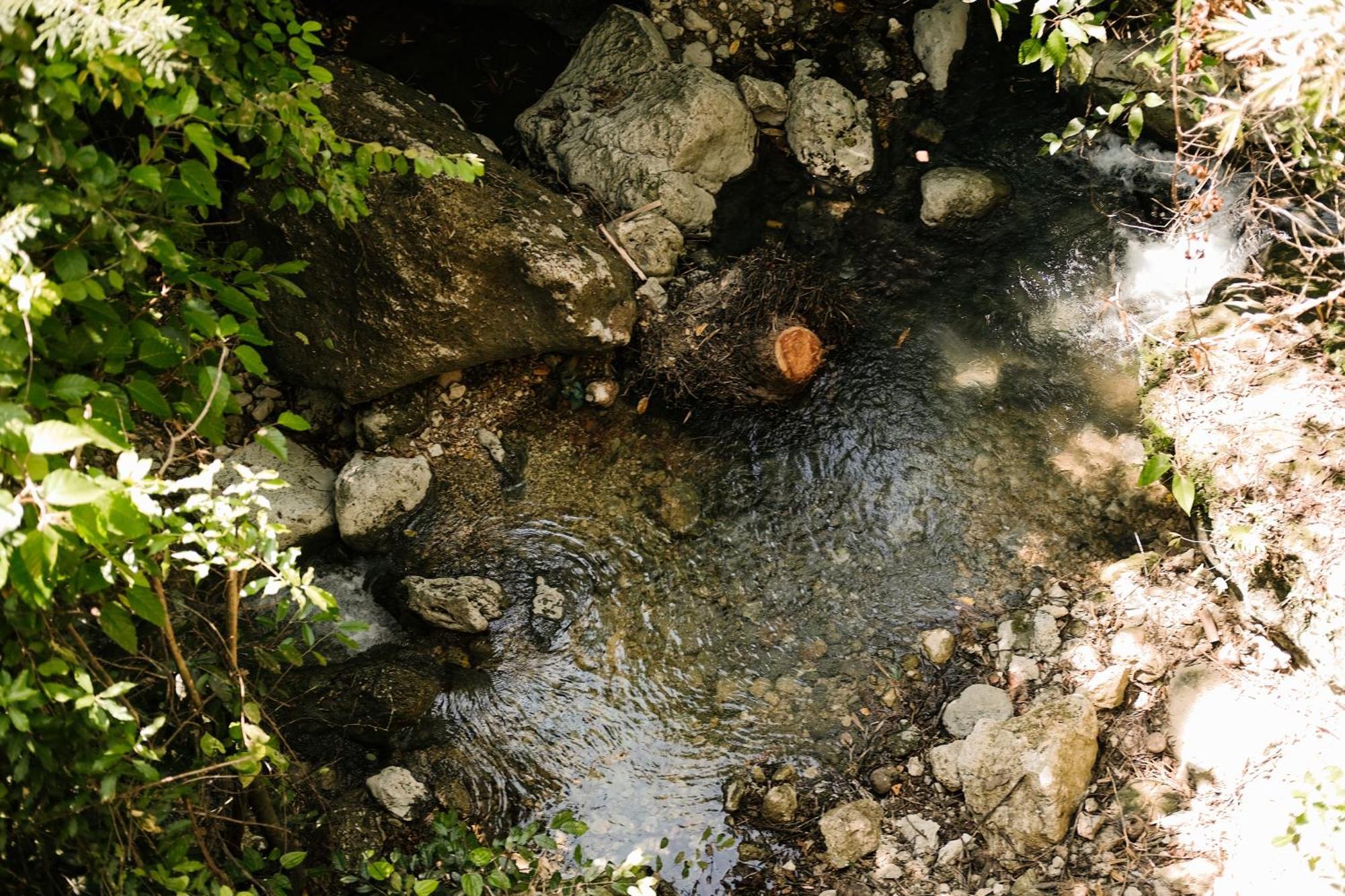 Willa Treehouse De Valentine Balamban Zewnętrze zdjęcie