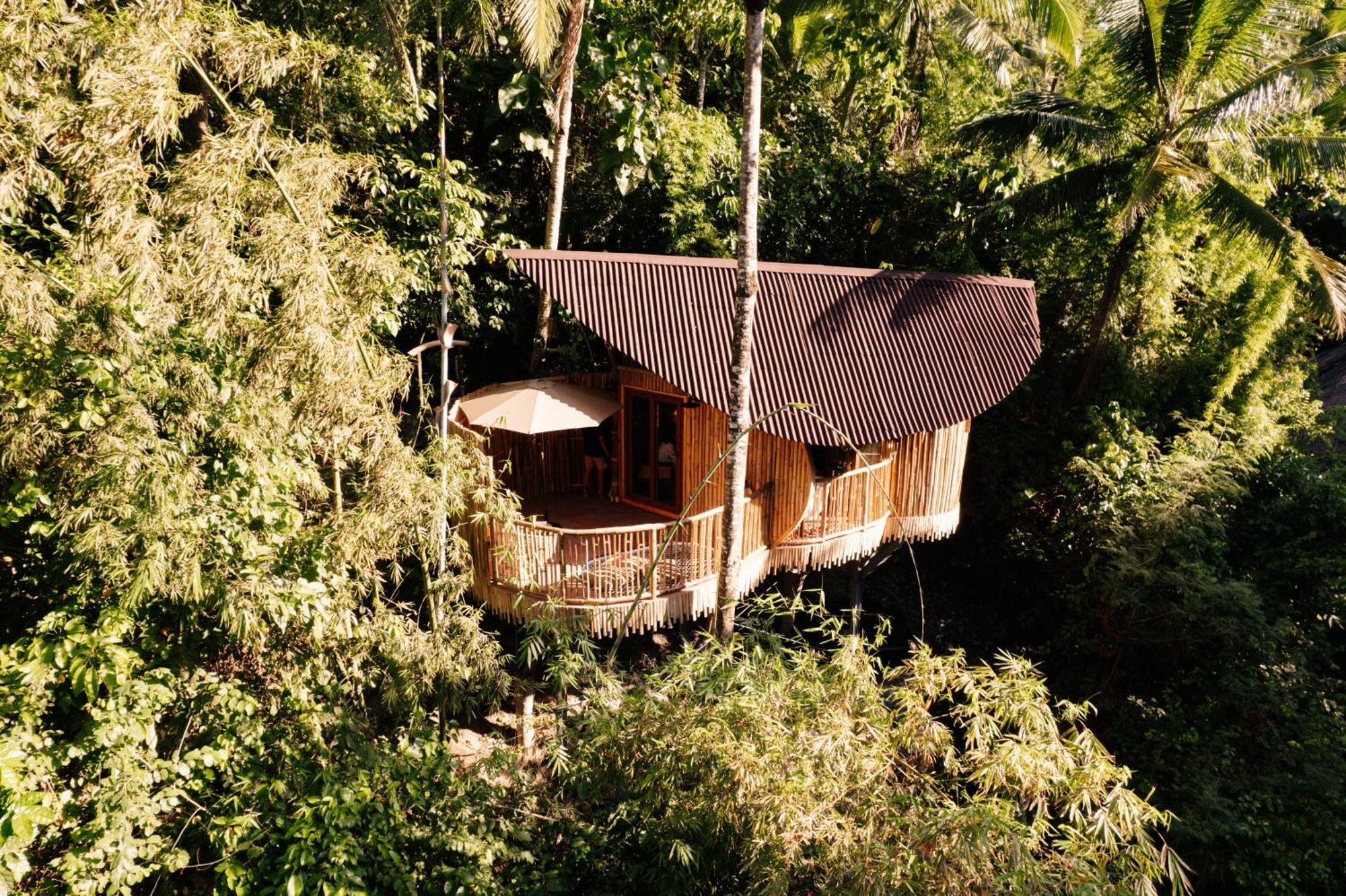 Willa Treehouse De Valentine Balamban Zewnętrze zdjęcie